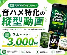 元MV制作者が音ハメ特化の縦型動画を制作します 埋もれる動画をテンポよく！音で魅せる縦型動画に