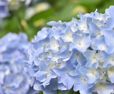 田舎の風景写真提供します イメージ1