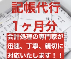 毎月の記帳代行&アドバイス承ります しっかりとした会計処理は経営には必須。継続的なご依頼もOK！