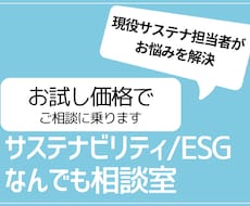 サステナビリティESG対応なんでもご相談に乗ります お試し価格で、現役サステナ担当者がお悩みを解決します！