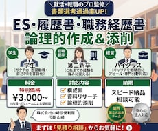ES、履歴書、経歴書作成、想定質問解答作成します イメージ1