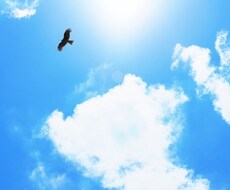 SNSアカウントの作成・運営のお手伝いします Twitterやインスタのアカウント作成・運営をサポート！