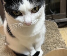 何でも話相手、愚痴相談聞きます イメージ1