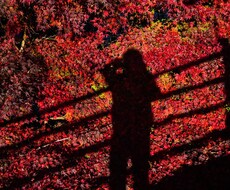 カメラやスマホのあなたの画像を現像、編集します イメージ1
