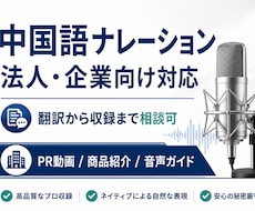 法人案件対応中国語ナレーション承ります イメージ1