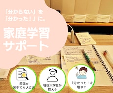 お子様の「分からない」を大学生が一緒に解決します イメージ1