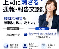 週報・報告文を上司向けに添削します イメージ1