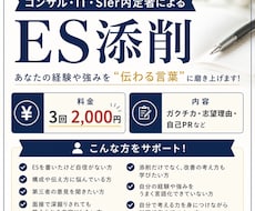 外資コンサル内定者がESを一緒に磨きます イメージ1