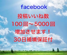 facebookの投稿いいね100回増やします オプション購入でもっとお得に！30日保証付！