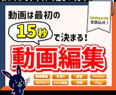 高品質！YouTube向け動画編集を代行致します 全ジャンル対応！伝わるデザイン/迅速/サムネイル/格安！