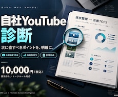 自社YouTubeを診断し改善案を提案します イメージ1