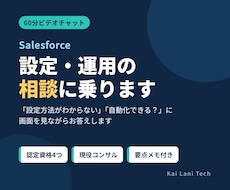 Salesforceの設定・運用相談に乗ります 認定資格4つの現役コンサルが画面を見て回答