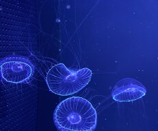 寂しいとき話を聞いてほしい時何でも聞きます イメージ1