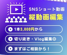 90秒まで3,000円で映える動画を制作します イメージ1