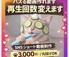 格安！SNSで伸びるショート動画を制作します SNS再生数600万の実績あり｜リール・ショート特化編集