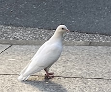 心を込めて占います イメージ1