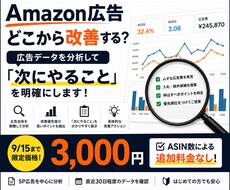 Amazon広告の改善点をデータ分析します イメージ1