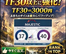 増加 TF 30 CF 20 マジェスティックます イメージ1