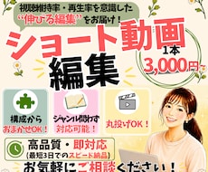 インスタ・YouTubeショート動画丸投げできます イメージ1