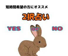 2択で悩んでいる方のサポートをします 短時間で占いたい方にオススメ！