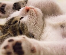 ジャンルを問わず30秒～4分程度の作詞を行います イメージ1