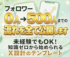 フォロワー0人→500人までの流れを全て公開します 未経験でもOK！知識ゼロから始められるX設計のテンプレート