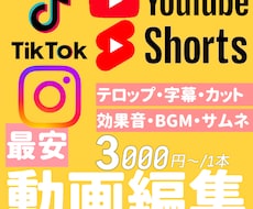 SNS動画、ショートのテロップ入れ、カット承ります イメージ1