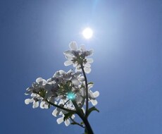 がんばりすぎているあなたへ＊やさしく寄り添います イメージ1
