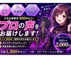大手企業案件300件以上！プロの声をお届けします イメージ1