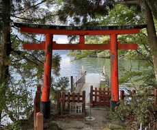 四柱推命、タロット、九星気学、五行易で占います 寄り添いながら良い方向に導きます。