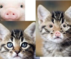ご希望の画像作り、または色々な修正いたします イメージ1