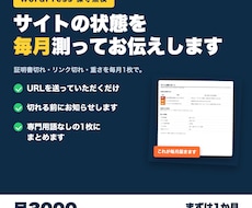 WordPressサイトの保守点検を毎月報告します イメージ1