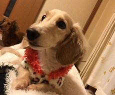 人生や職場などの悩みメンタル相談♡を中心に承ります イメージ1