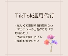 TikTokの動画作成致します イメージ1