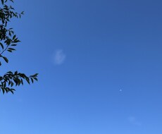 転職が怖い方へのアドバイスお伝えします イメージ1
