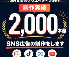 制作実績2,000本超　SNS広告の制作をします イメージ1