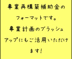 事業再構築補助金のフォーマット販売します 実際に採択された事業計画書を改変したフォーマットです！