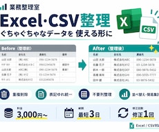 Excel・CSVを見やすく整理します イメージ1