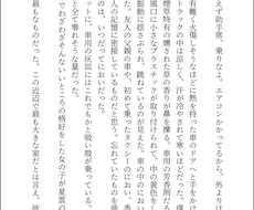 男性向け・女性向け小説執筆します イメージ1