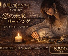 恋の未来と二人の運命をタロットで占いますます イメージ1