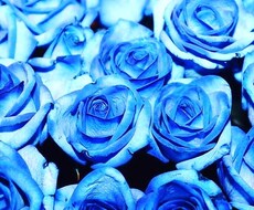 女性に嬉しい2つの情報教えます イメージ1