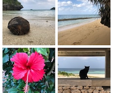 石垣島の写真提供します イメージ1