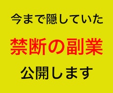 初心者歓迎！禁断の副業を公開します イメージ1