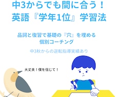 中学英語の穴を埋め、学年1位の学習法を教えます イメージ1