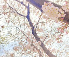 アナタの悩みを聞きます イメージ1