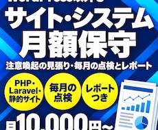 WordPress以外のサイトを月額で保守します イメージ1