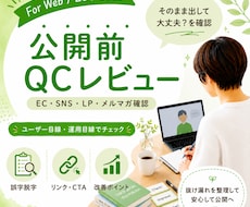 公開前チェック・改善点整理します イメージ1