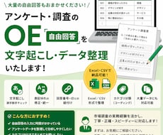 市場調査・アンケートの自由回答を整理します Excel・CSV納品可能｜表記統一・カテゴリ分類も対応