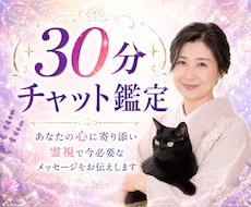 今すぐ【30分】チャット｜LINE感覚で霊視します 恋愛・仕事・人間関係 ✤ 霊視×タロットで答えを探します