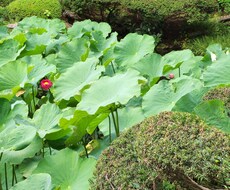親身にお話させて頂きます イメージ1